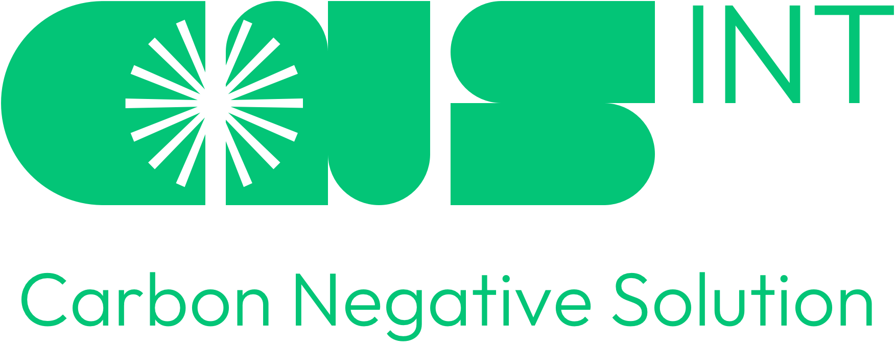 (주)씨엔에스아이엔티
