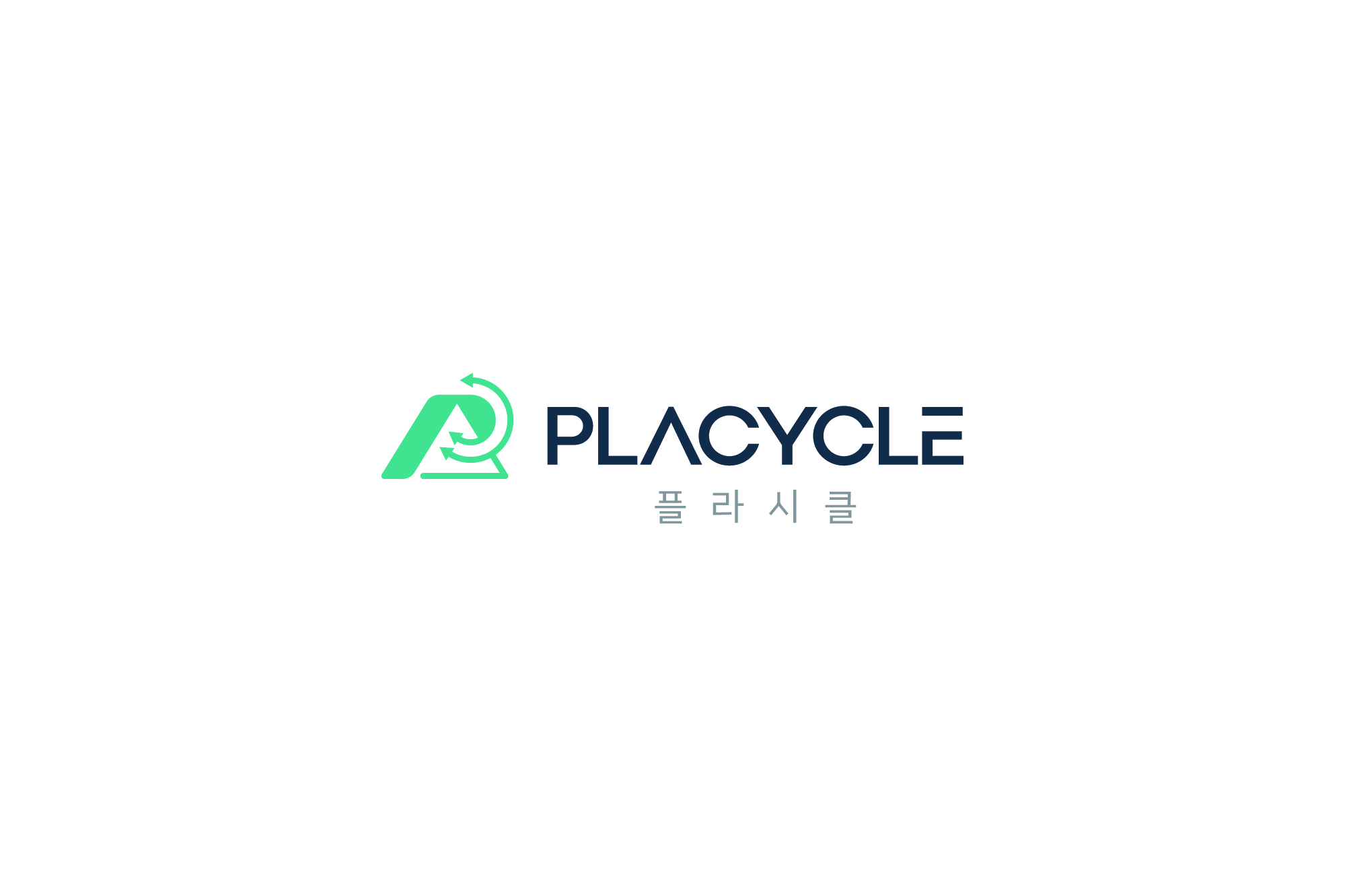 플라시클