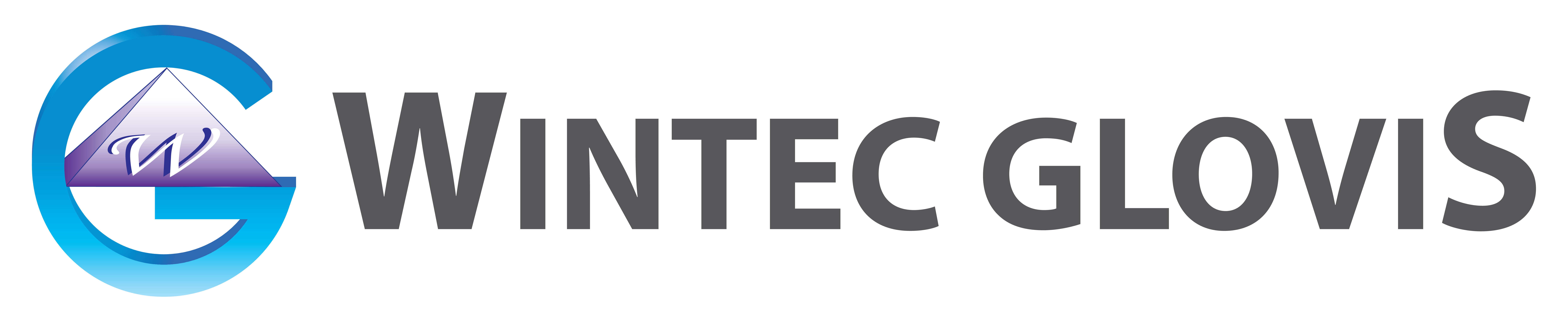 윈텍글로비스